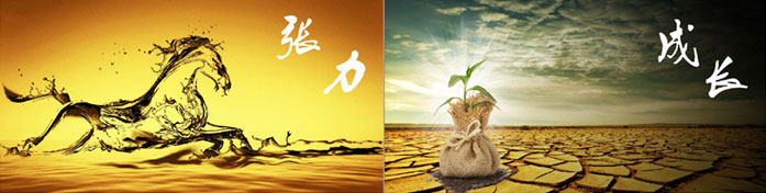 企業發展要學會取他人之長、補自己之短